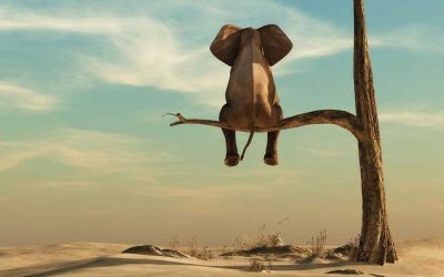 Die drei wichtigsten Irrtümer zur Meditation